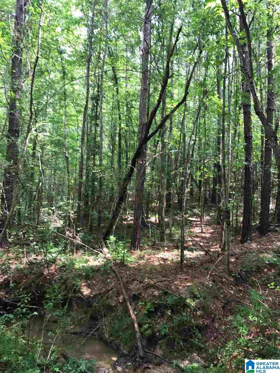 0 Blackjack Road, Unit 22 / ACRES Trussville, AL 35173 - Photo 5 of 7
