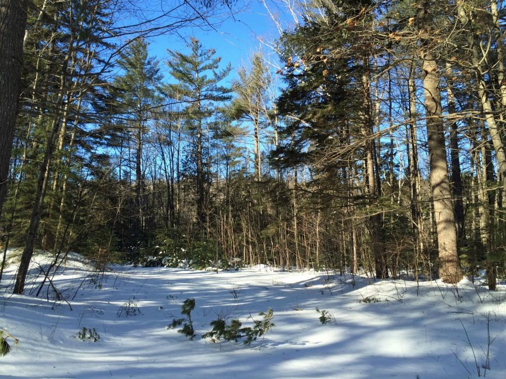 Lot 33 Ledge Road Kingfield, ME 04947 - Photo 3 of 8 Parcel view