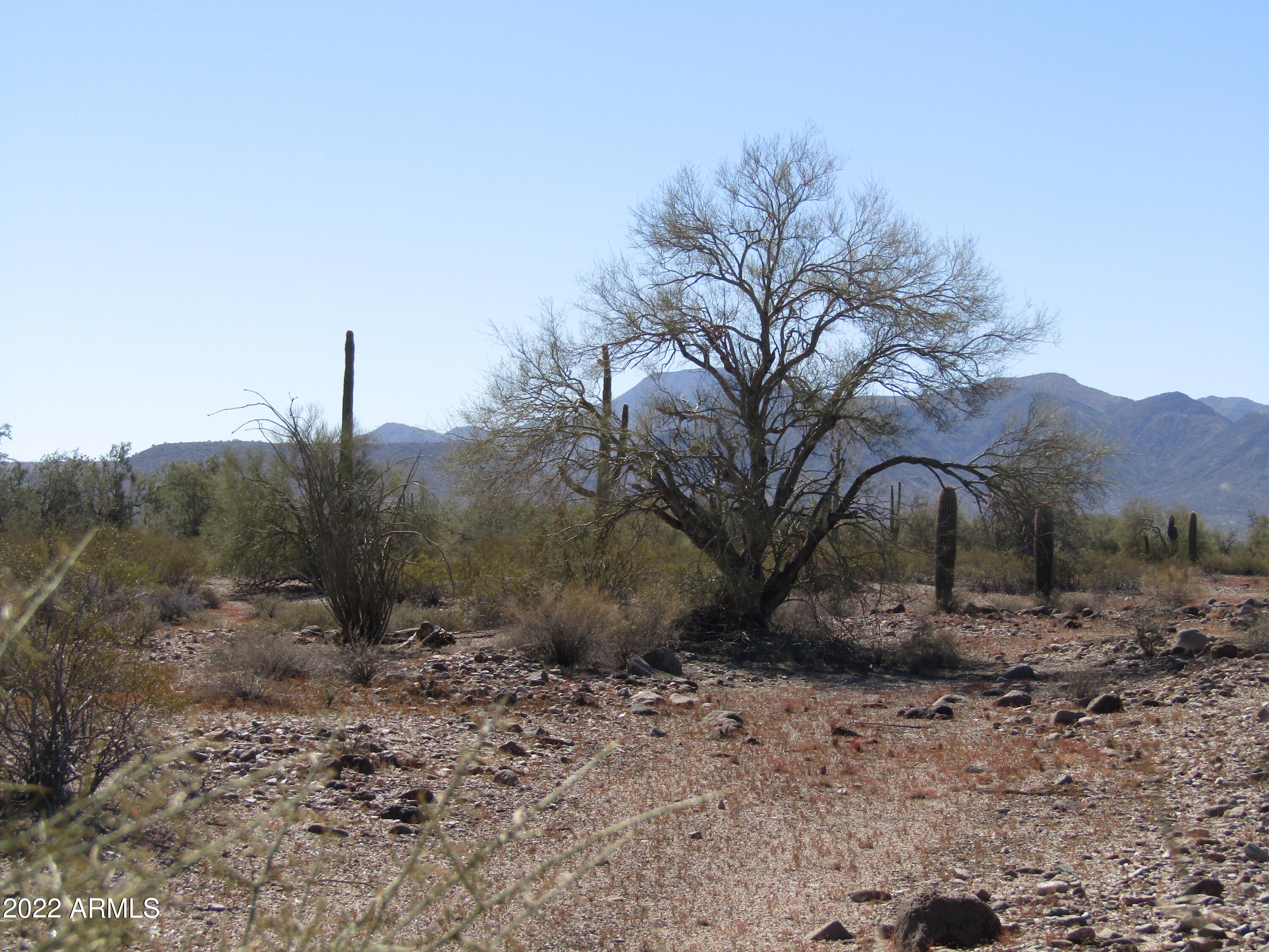 0 West Robles Road, Unit 33 Maricopa, AZ 85139 - Photo 2 of 6 2022-02-05 13.21.01