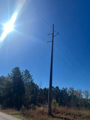 a view of water with a large trees