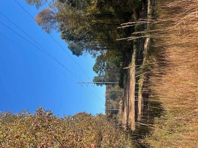 0 Helton Road Bremen, GA 30110 - Photo 5 of 10