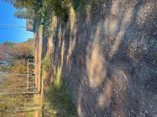 0 Helton Road Bremen, GA 30110 - Photo 7 of 10