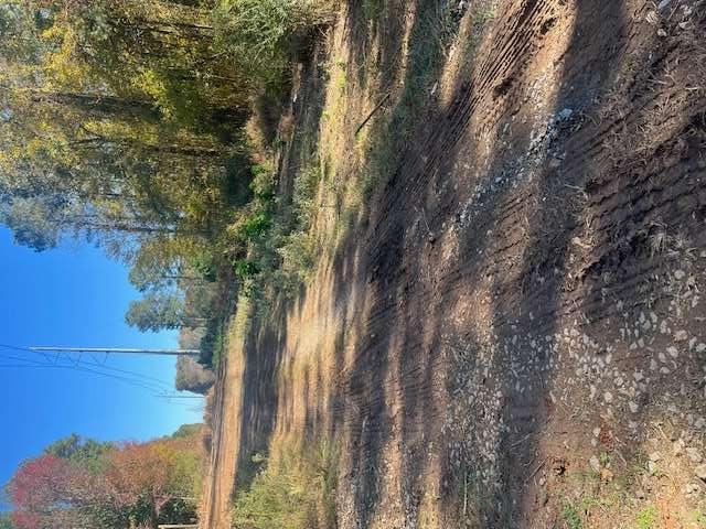 0 Helton Road Bremen, GA 30110 - Photo 9 of 10