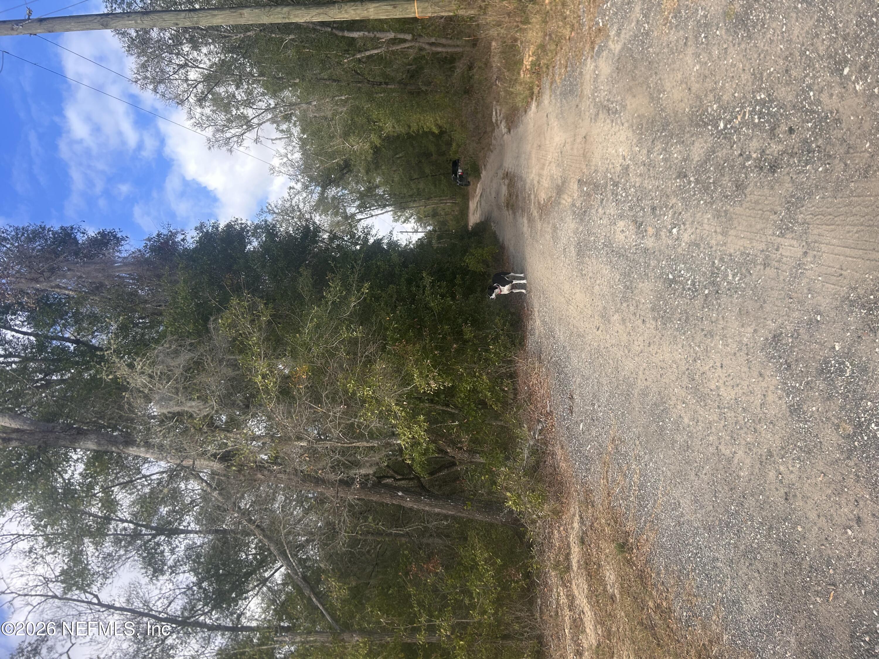 0 State Road 20 Hawthorne, FL 32640 - Photo 1 of 19 First photo