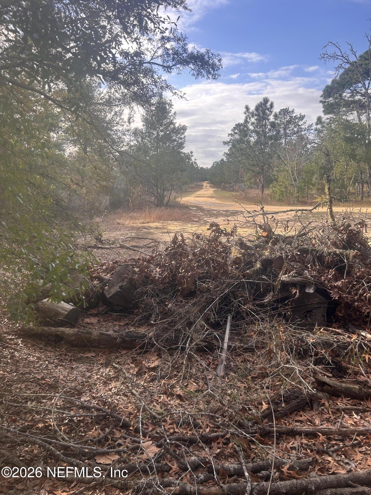 0 State Road 20 Hawthorne, FL 32640 - Photo 12 of 19 IMG_7853