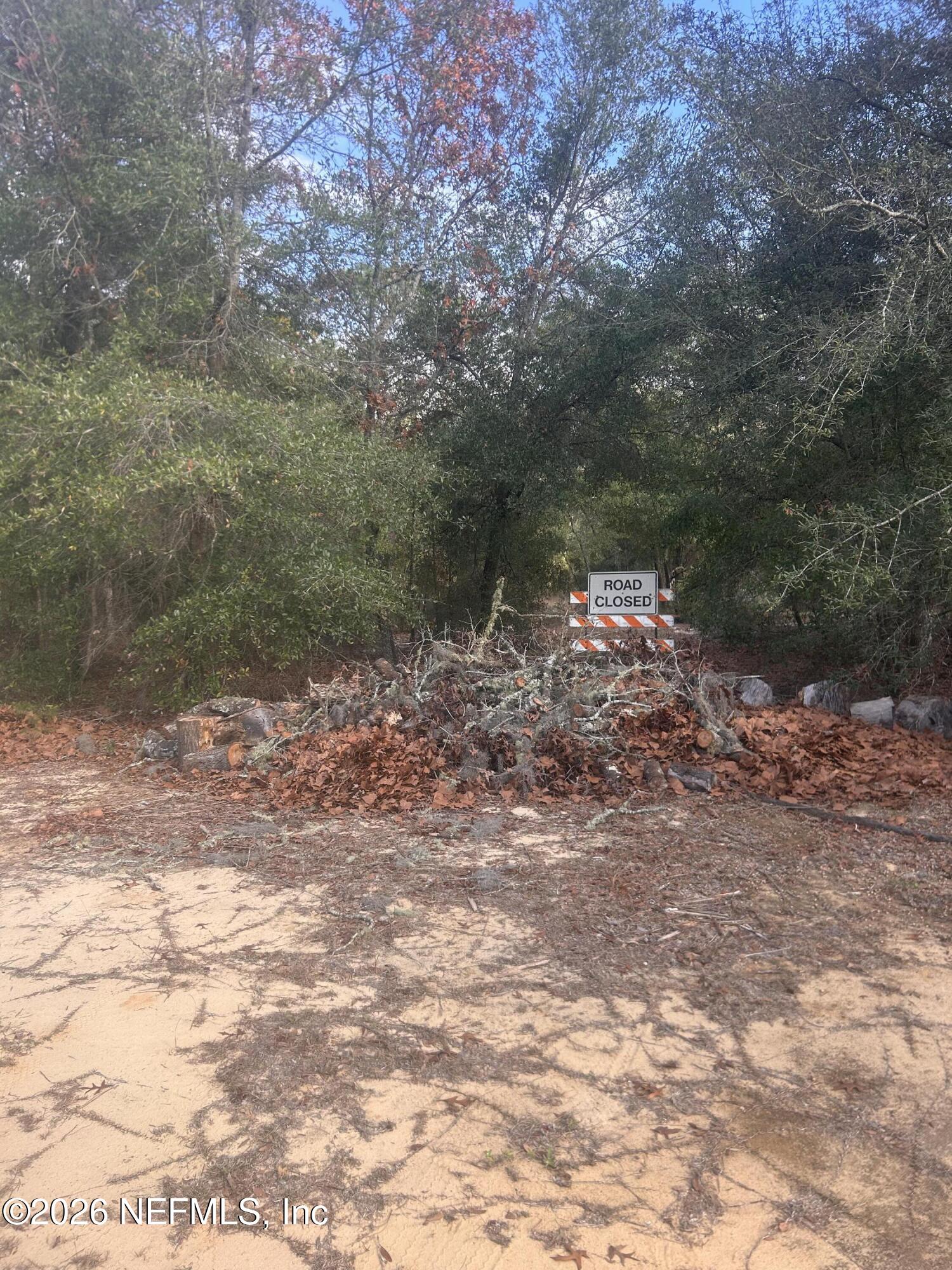 0 State Road 20 Hawthorne, FL 32640 - Photo 14 of 19 IMG_7855