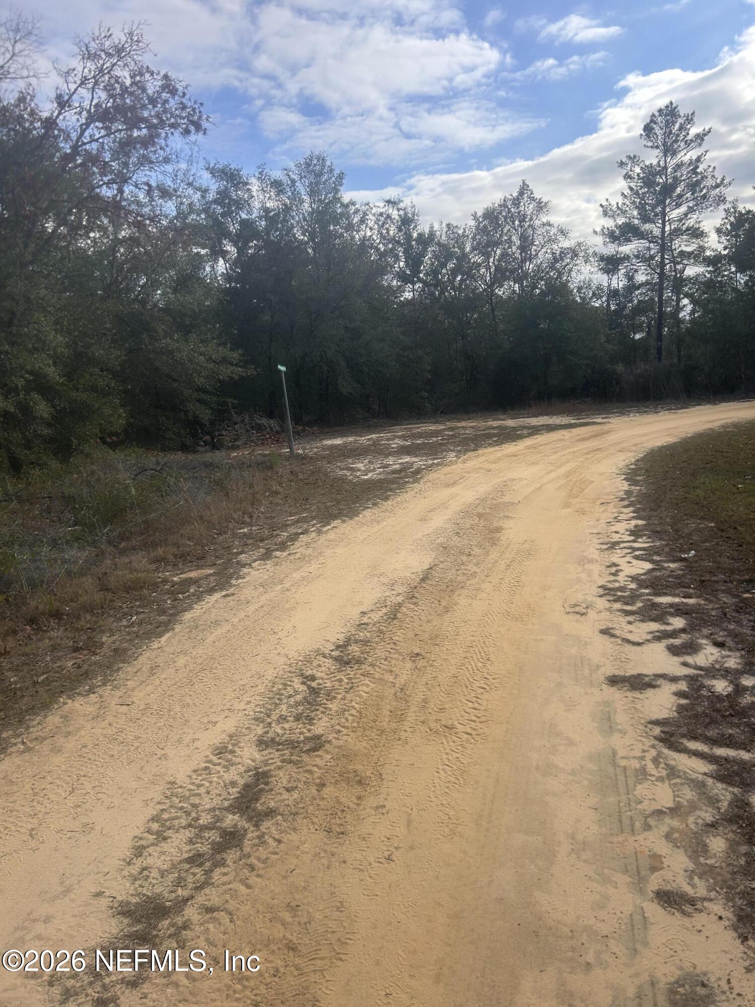 0 State Road 20 Hawthorne, FL 32640 - Photo 15 of 19 IMG_7856