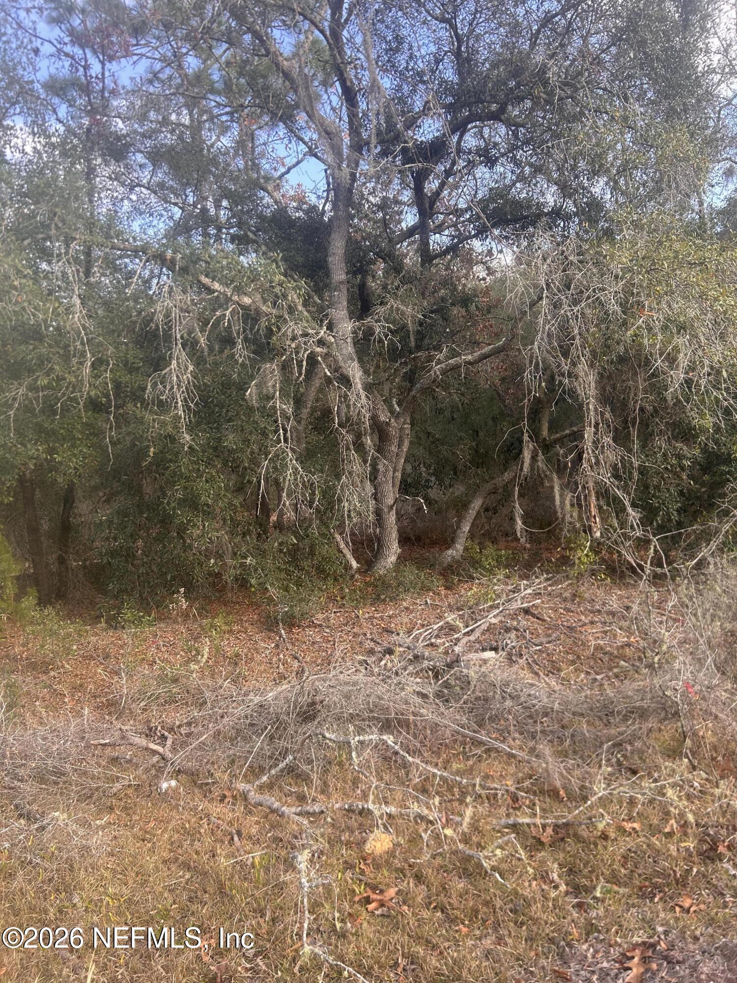 0 State Road 20 Hawthorne, FL 32640 - Photo 16 of 19 IMG_7857