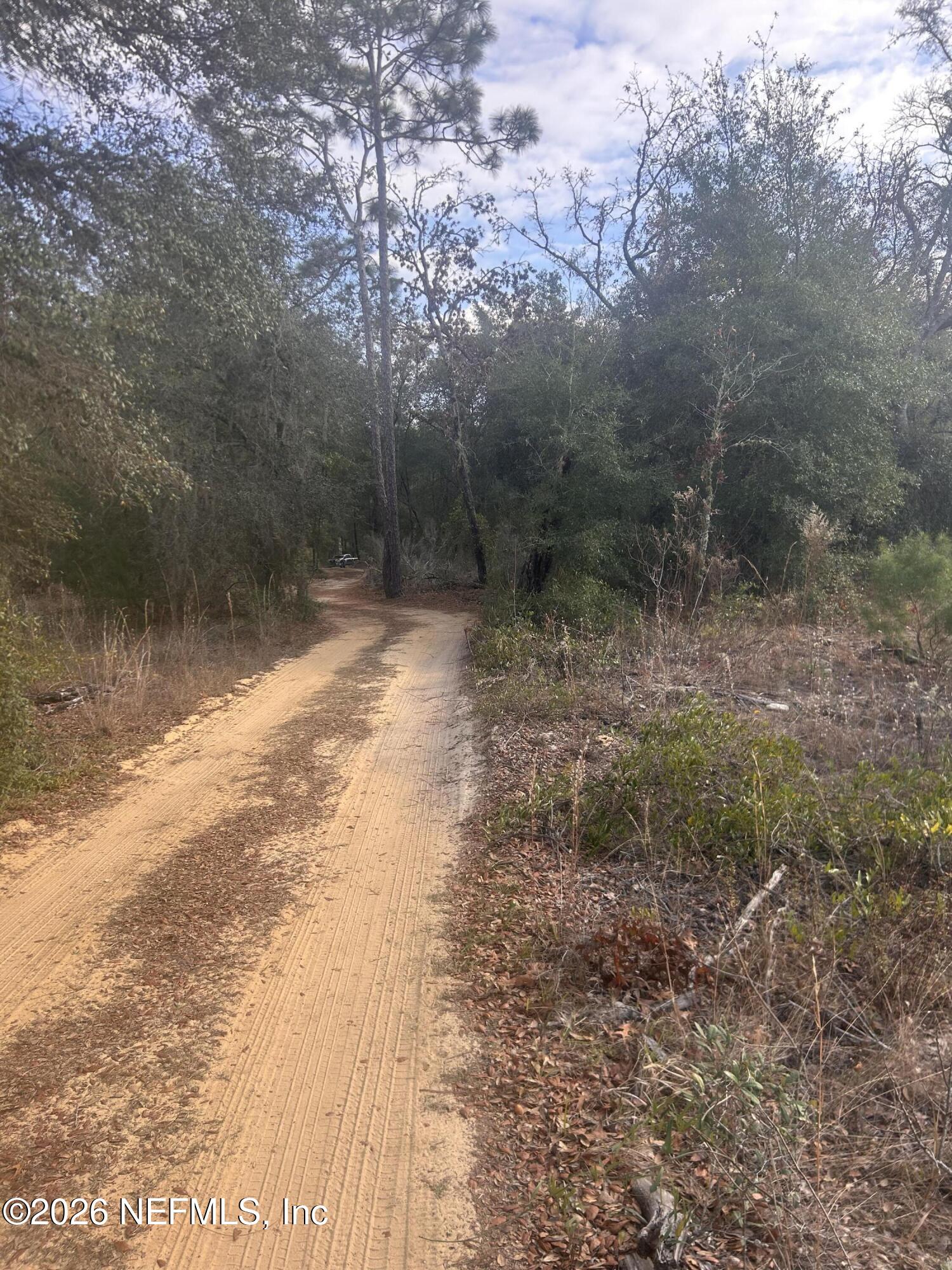 0 State Road 20 Hawthorne, FL 32640 - Photo 17 of 19 IMG_7858