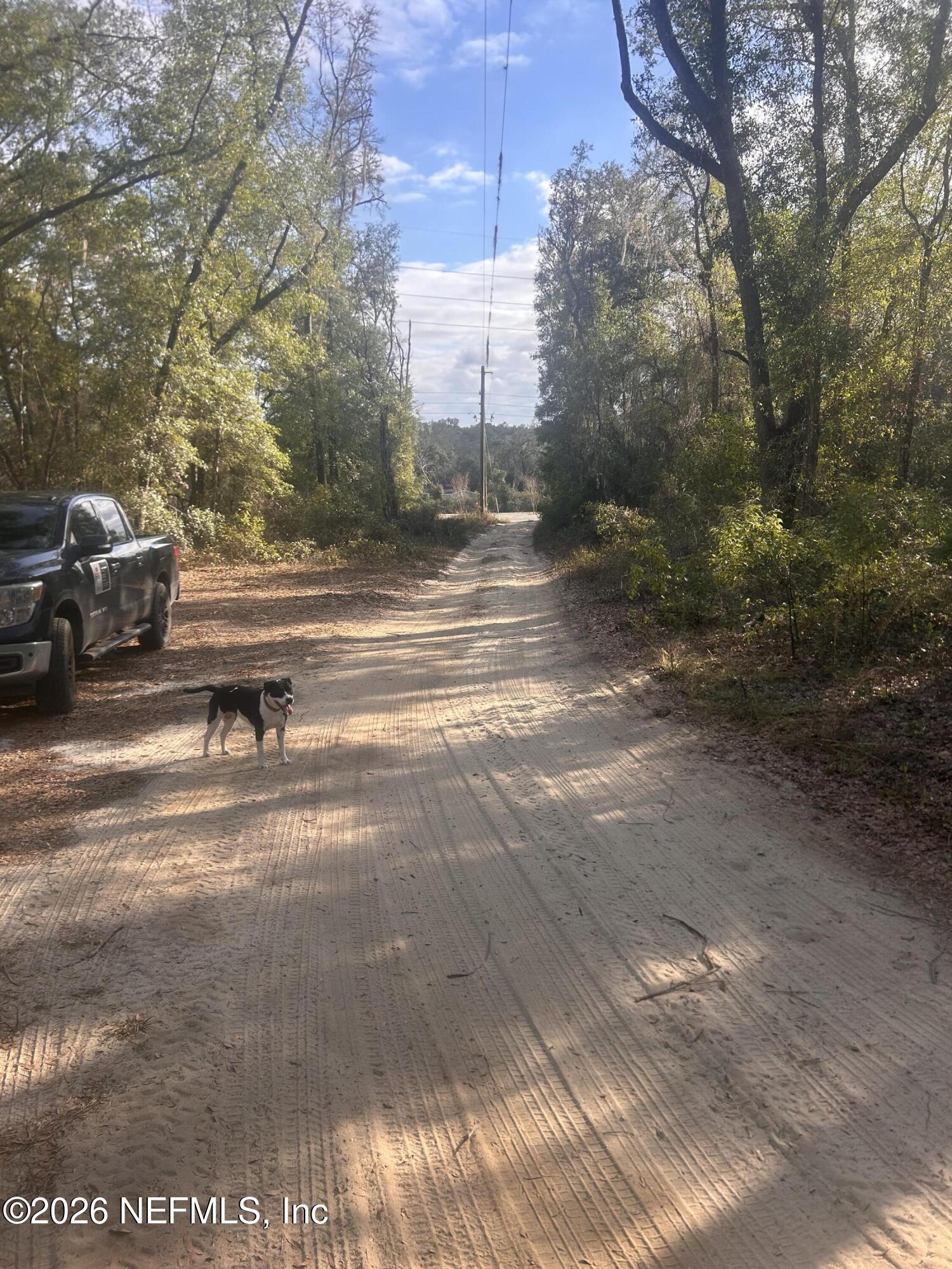 0 State Road 20 Hawthorne, FL 32640 - Photo 18 of 19 IMG_7868