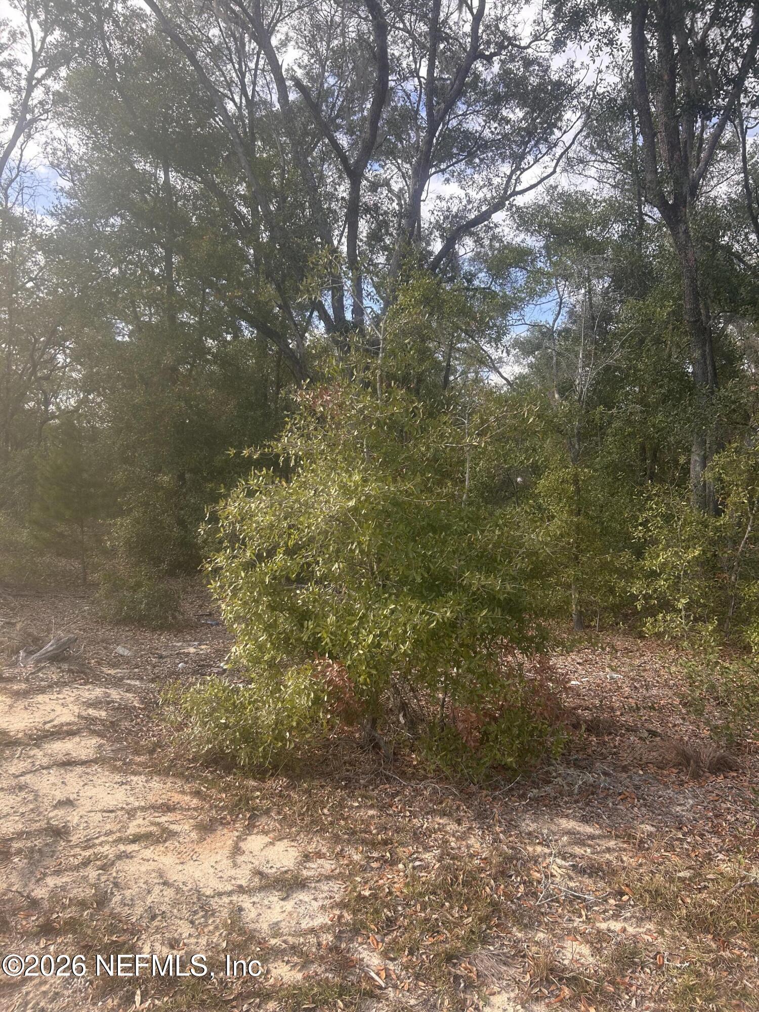 0 State Road 20 Hawthorne, FL 32640 - Photo 2 of 19 IMG_7833