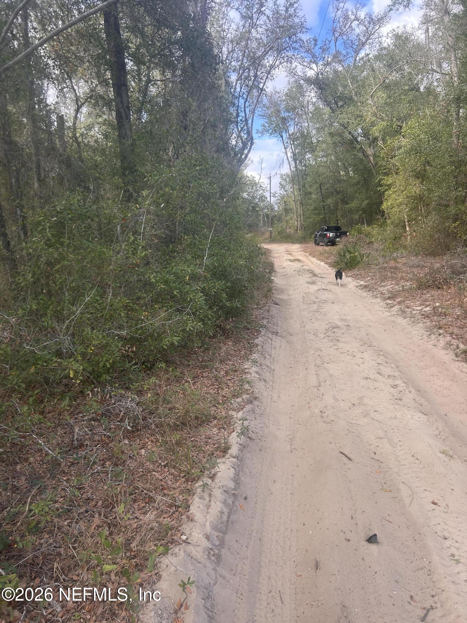 0 State Road 20 Hawthorne, FL 32640 - Photo 6 of 19 IMG_7837