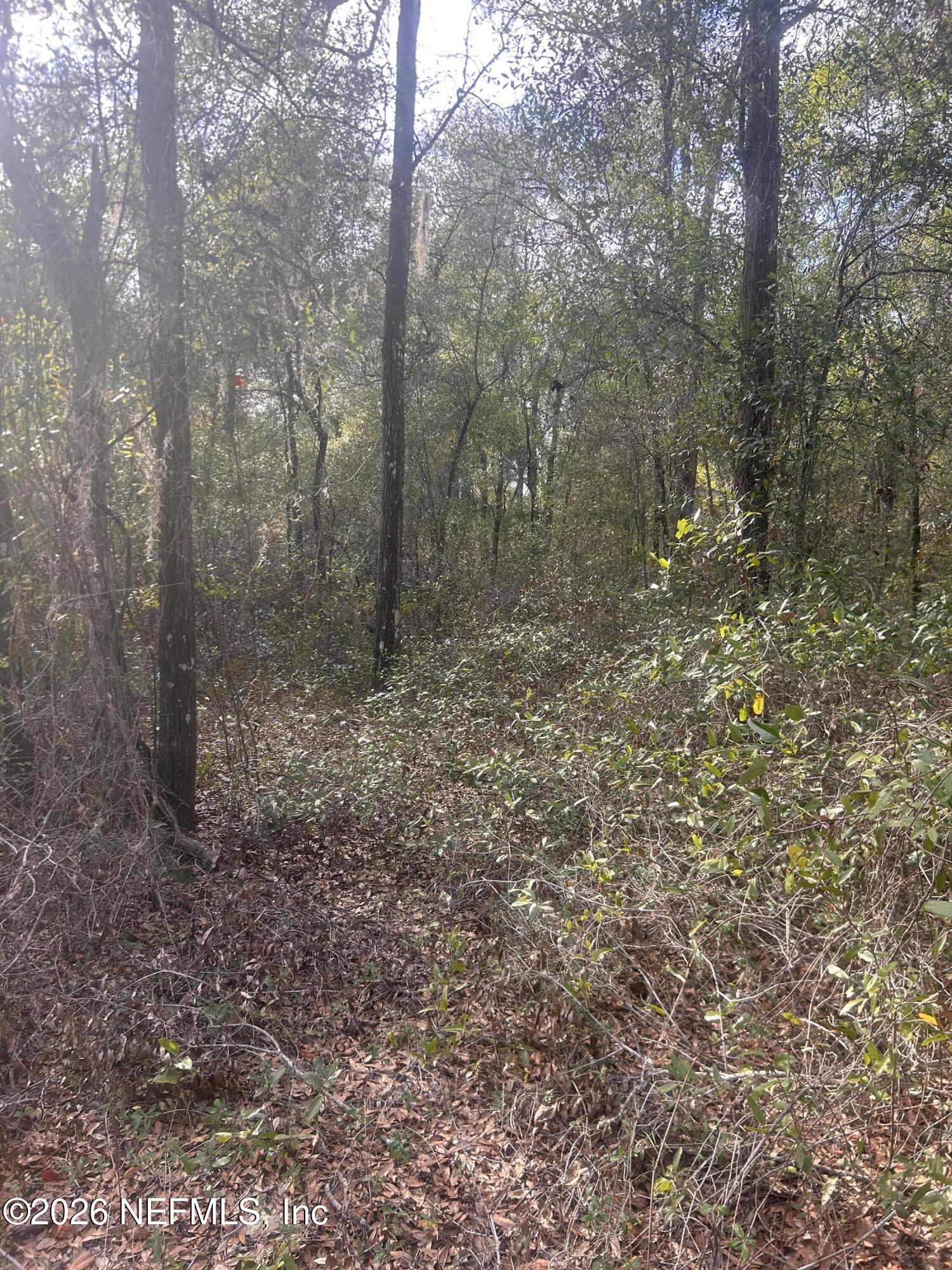 0 State Road 20 Hawthorne, FL 32640 - Photo 8 of 19 IMG_7839