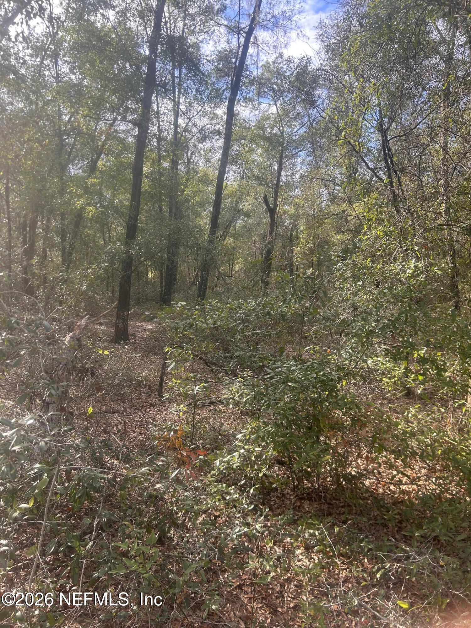 0 State Road 20 Hawthorne, FL 32640 - Photo 9 of 19 IMG_7840