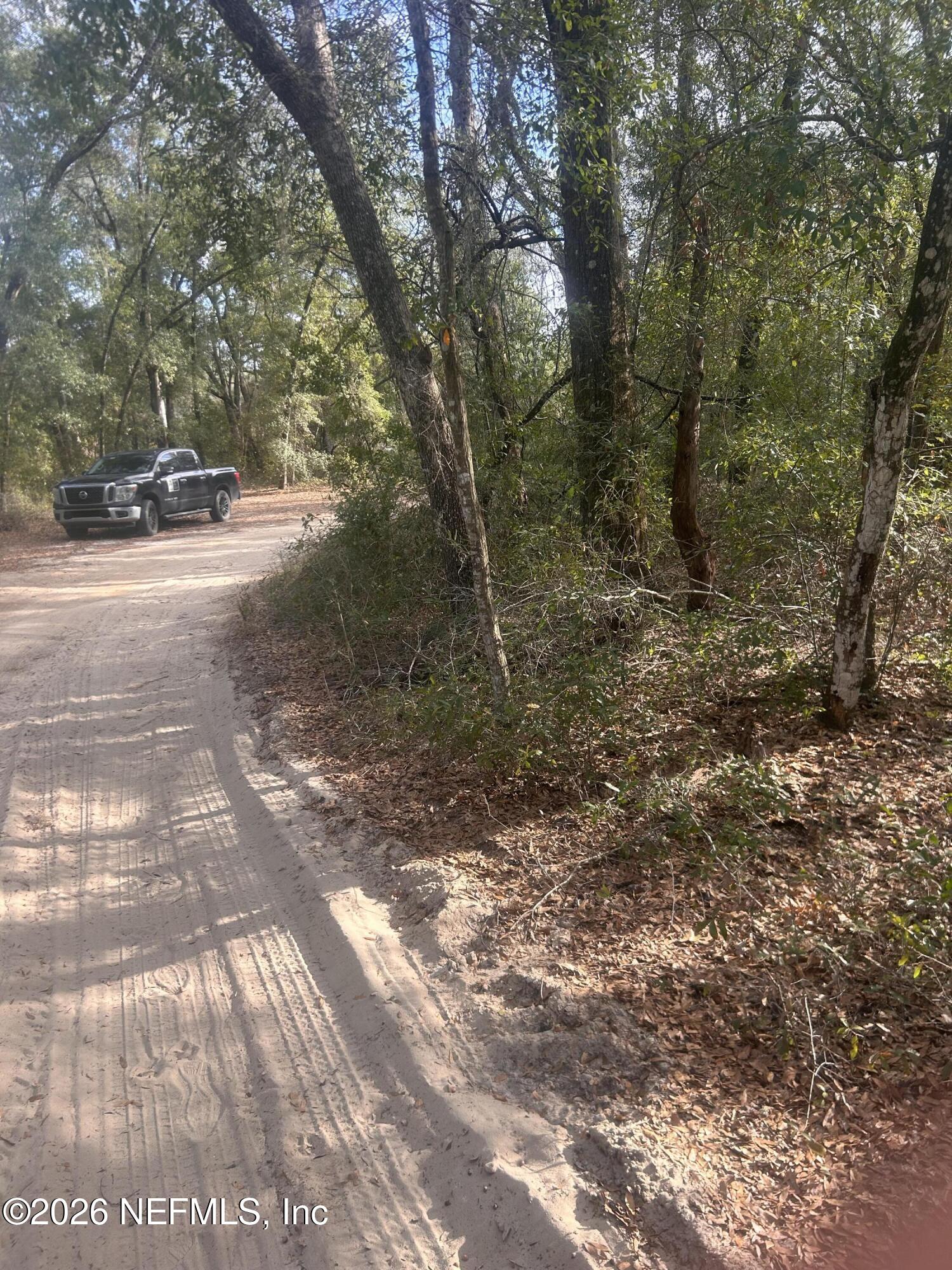 0 State Road 20 Hawthorne, FL 32640 - Photo 10 of 19 IMG_7841