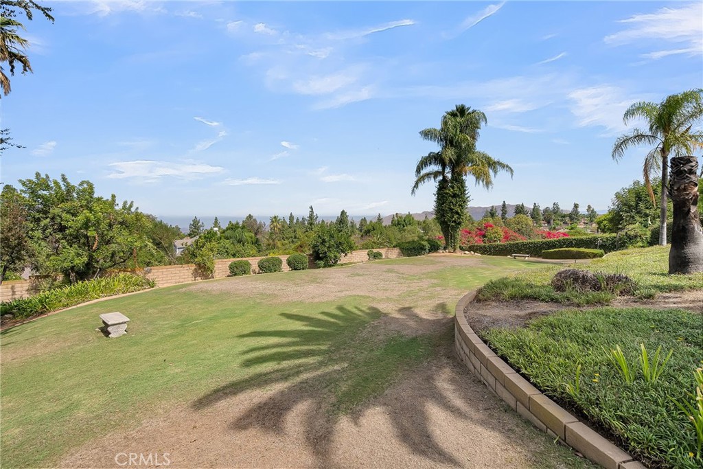 1249 Coronet Drive Riverside, CA 92506 - Photo 45 of 57 a view of a yard with an trees