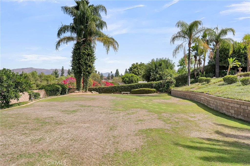 1249 Coronet Drive Riverside, CA 92506 - Photo 46 of 57 a view of a yard with palm tree