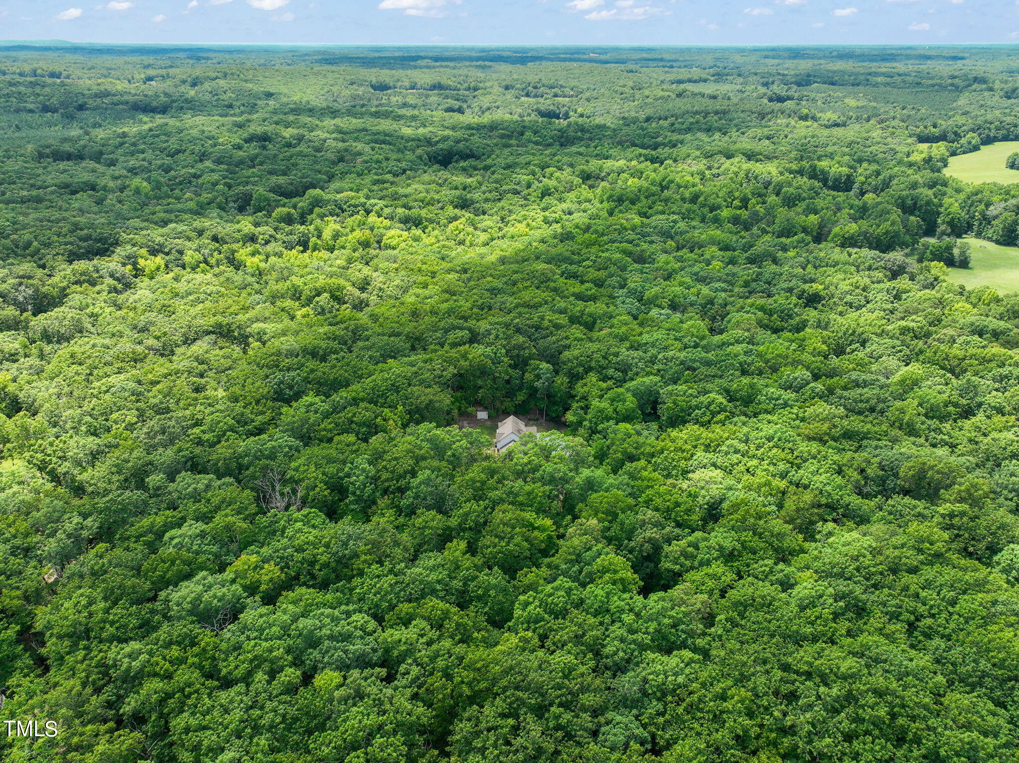 3424 Monadnock Ridge Road Efland, NC 27243 - Photo 62 of 71 67-web-or-mls-DJI_0303