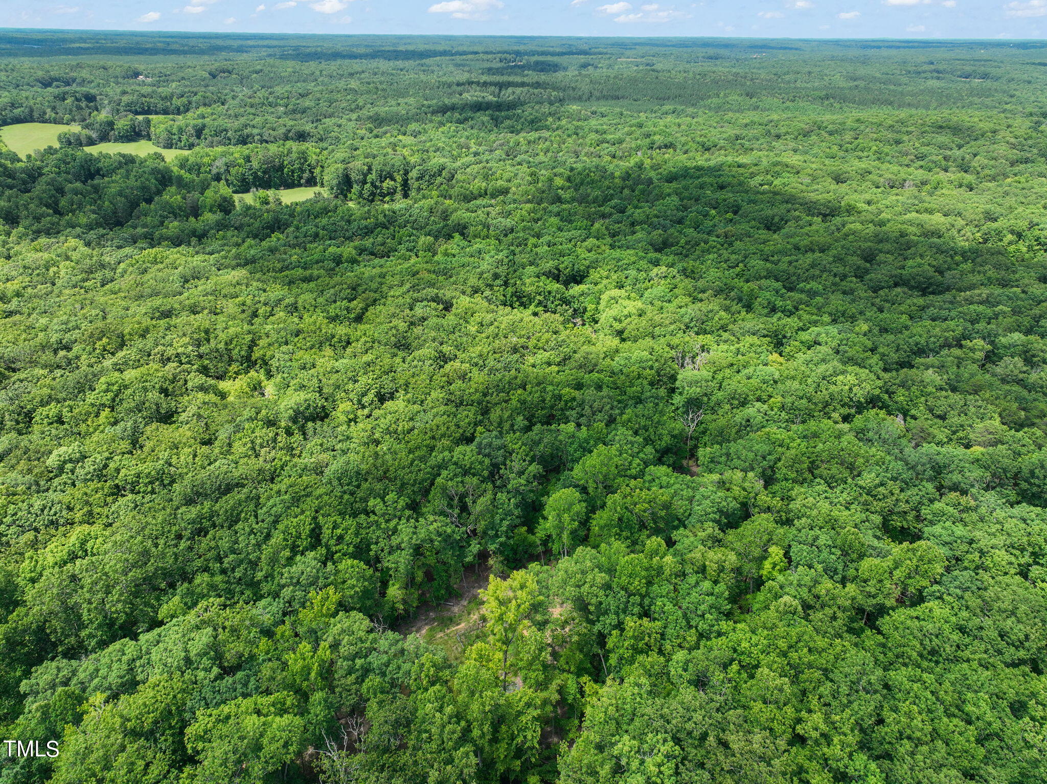 3424 Monadnock Ridge Road Efland, NC 27243 - Photo 65 of 71 70-web-or-mls-DJI_0306