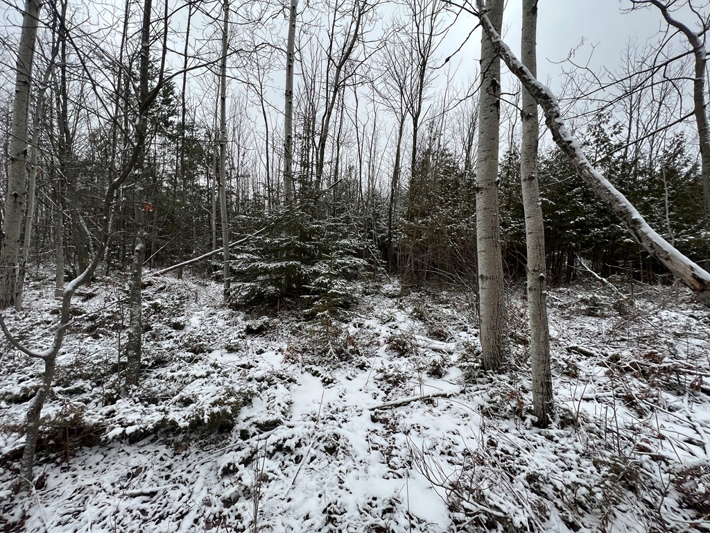 Tbd Juddville Hill Road Fish Creek, WI 54212 - Photo 19 of 31