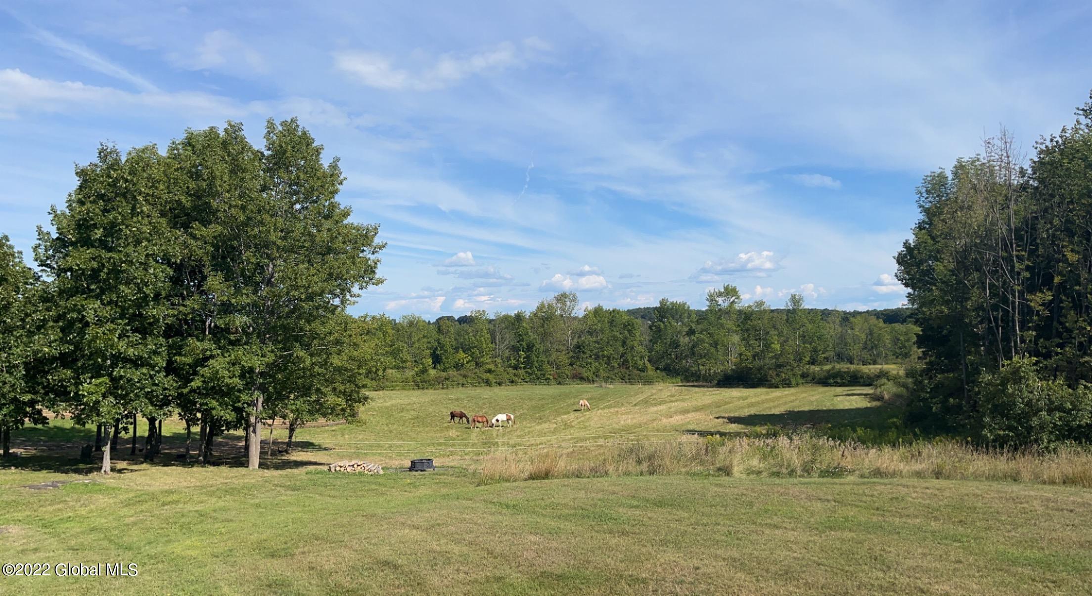 697 Indian Road Fort Plain, NY 13339 - Photo 5 of 19 2