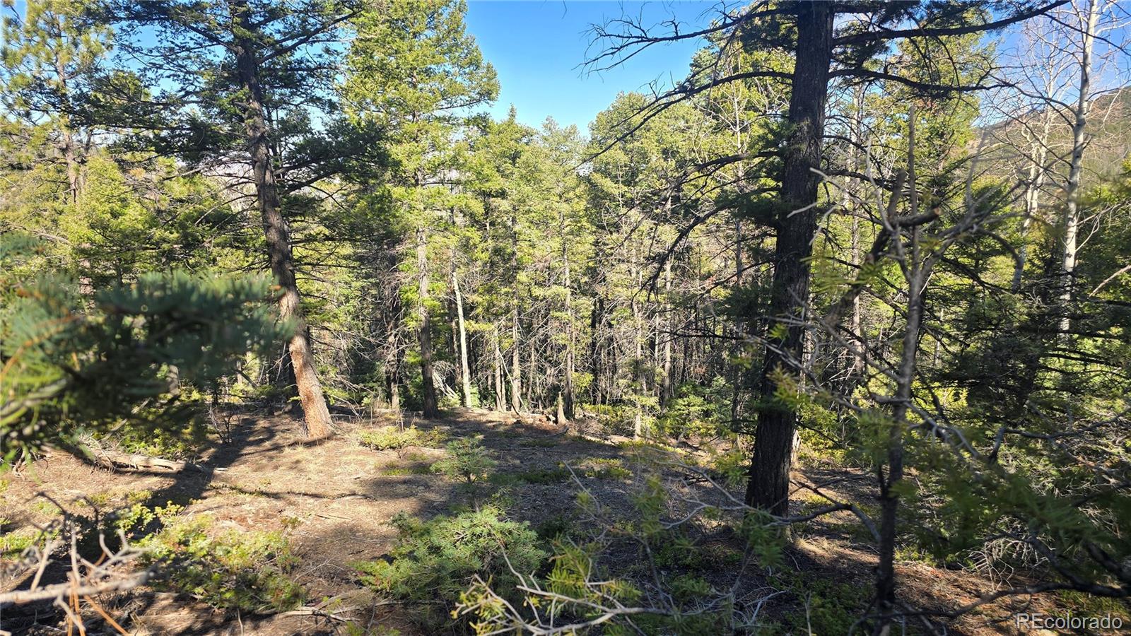 Lot 6034 Wood Road San Luis, CO 81152 - Photo 6 of 12 a view of outdoor space and trees