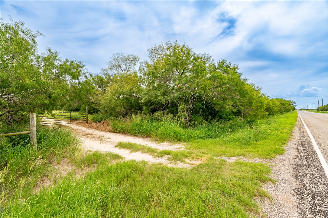 229 Fm 628 Riviera, TX 78379 - Photo 2 of 15