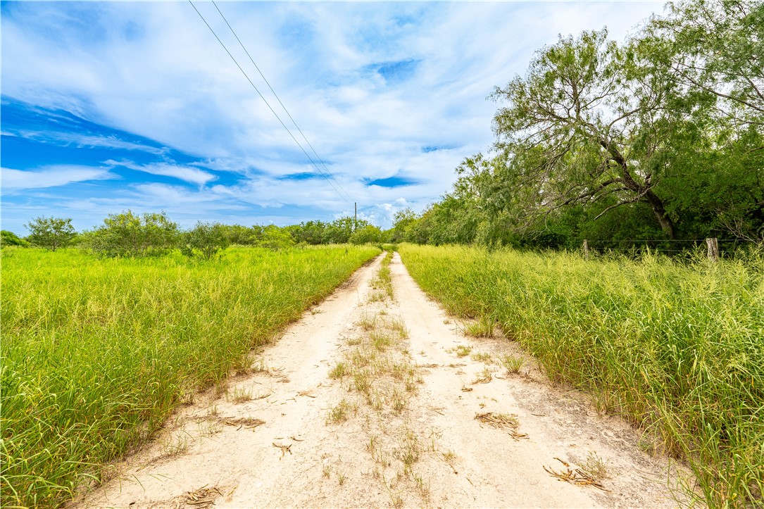 229 Fm 628 Riviera, TX 78379 - Photo 4 of 15