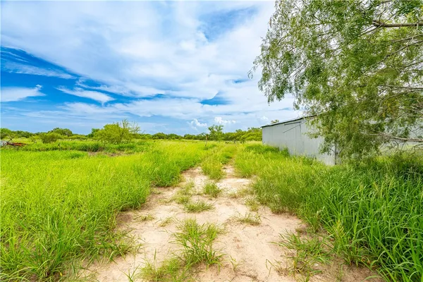 a view of a lake with a garden