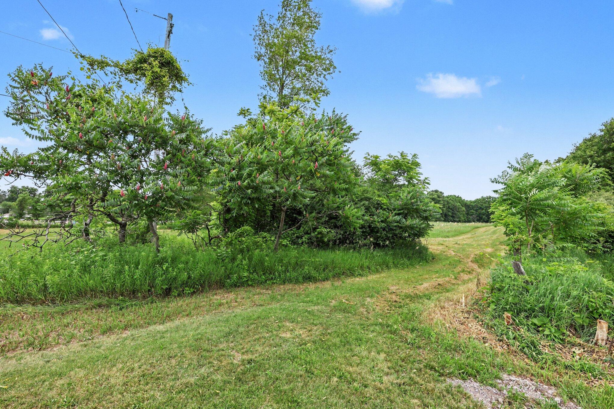 4794 Seymour Road Jackson, MI 49201 - Photo 30 of 48 027_file_1115