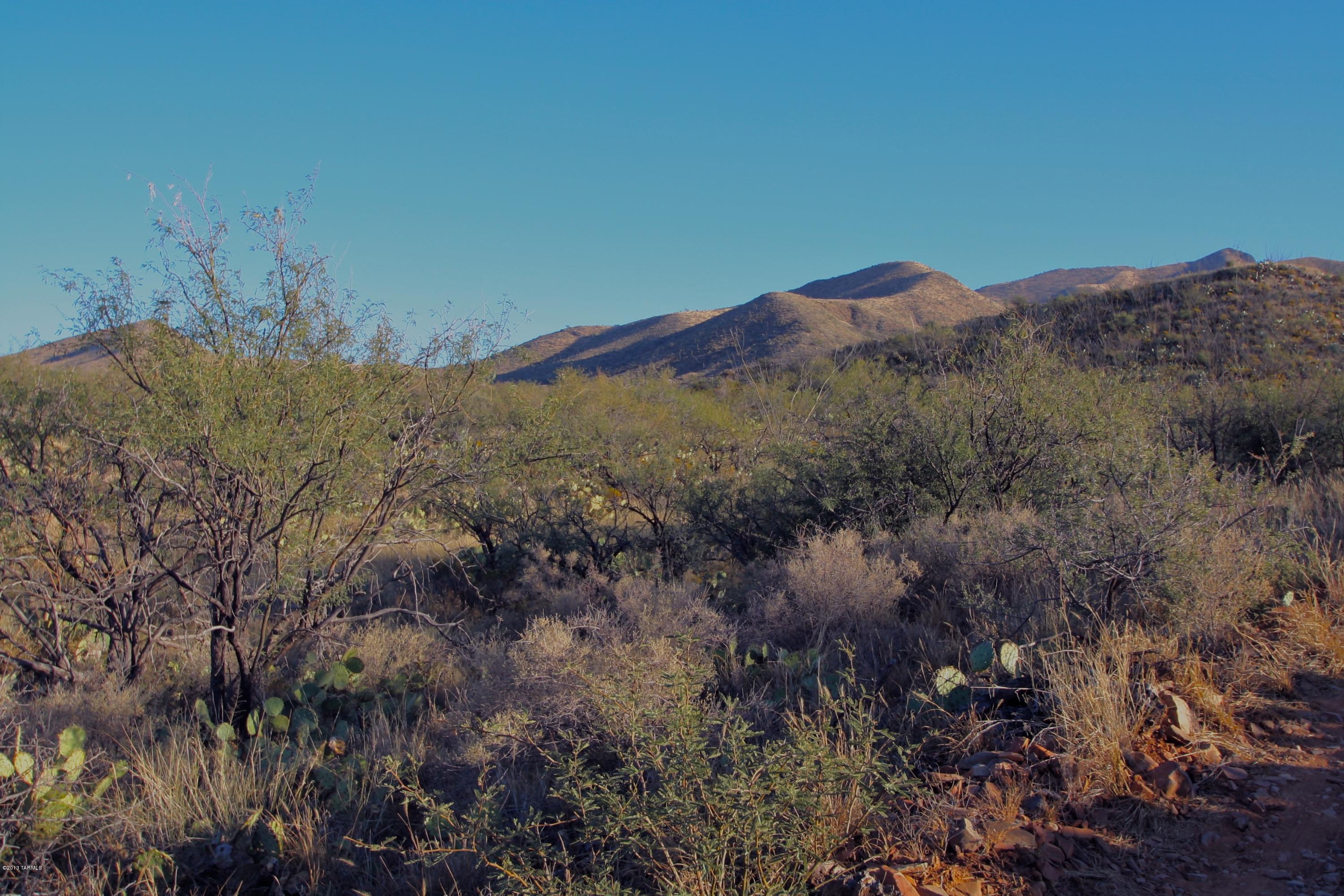 South Little Fawn Vail, AZ 85641 - Photo 4 of 12
