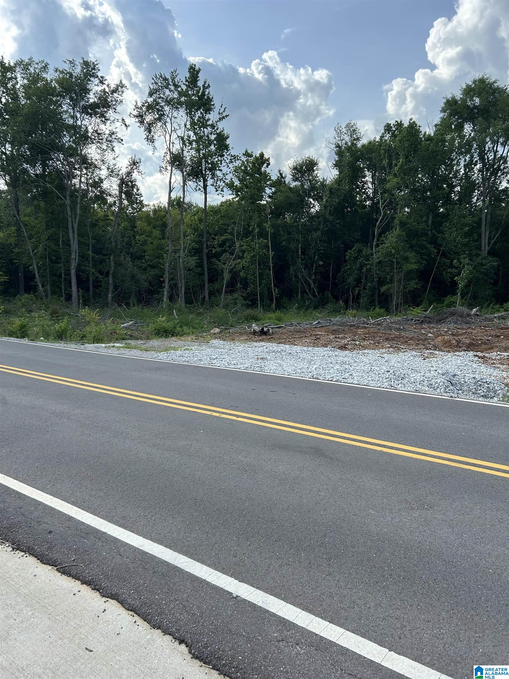 1685 Opp Reynolds Road, Unit 1685 Toney, AL 35773 - Photo 1 of 2