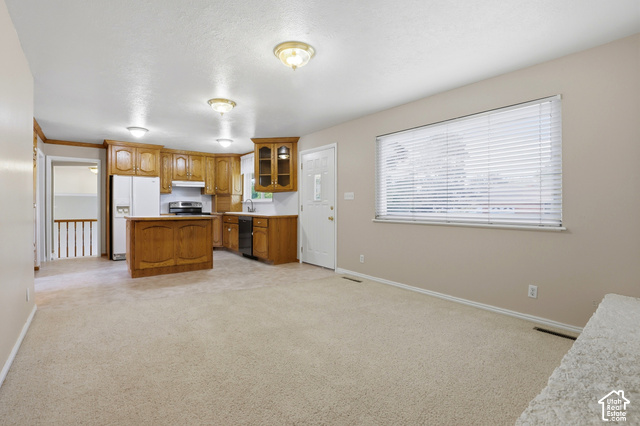 380 North 300 East Mapleton, UT 84664 - Photo 4 of 35 Kitchen with wood cabinetry, a central island, and white appliances