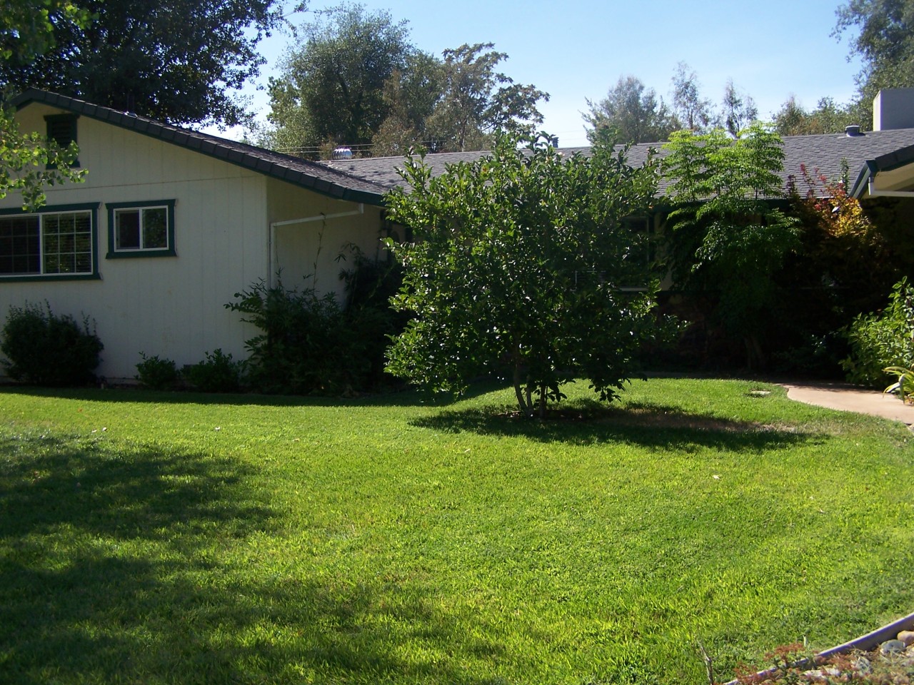 3614 Ricardo Avenue Redding, CA 96002 - Photo 1 of 24 Front