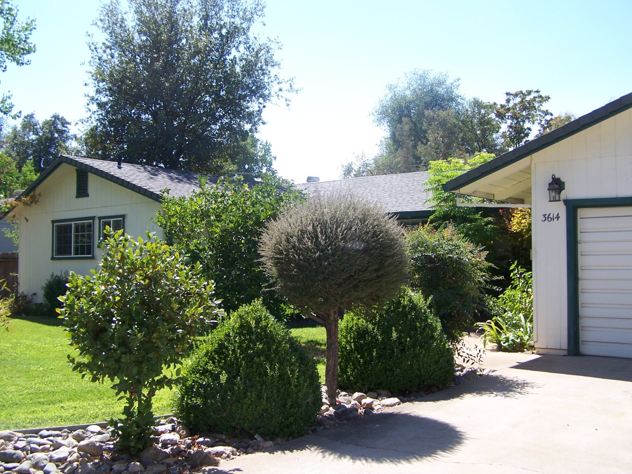 3614 Ricardo Avenue Redding, CA 96002 - Photo 2 of 24 Front yard