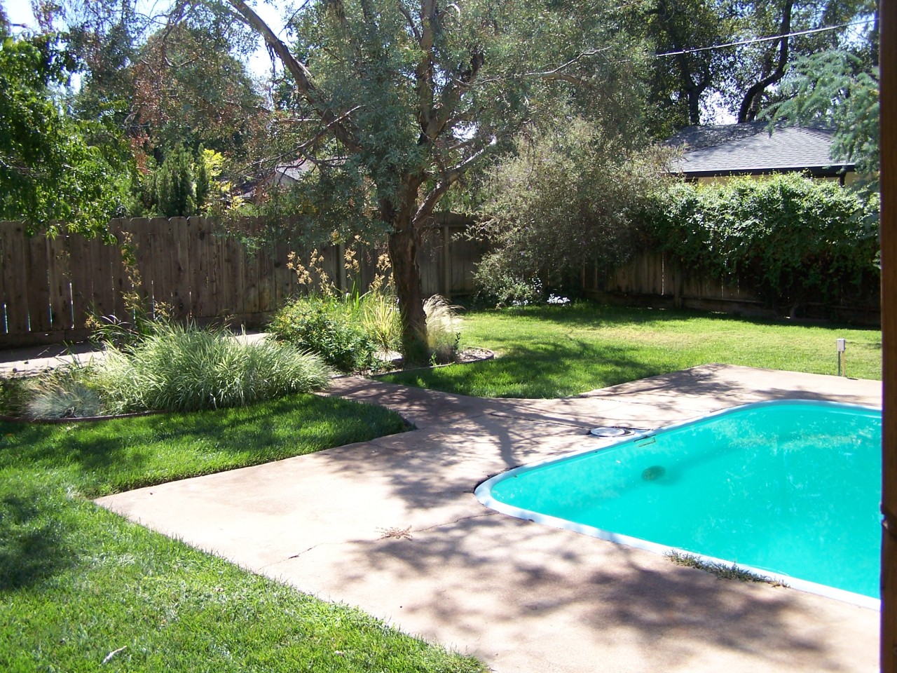 3614 Ricardo Avenue Redding, CA 96002 - Photo 21 of 24 Lush landscaping