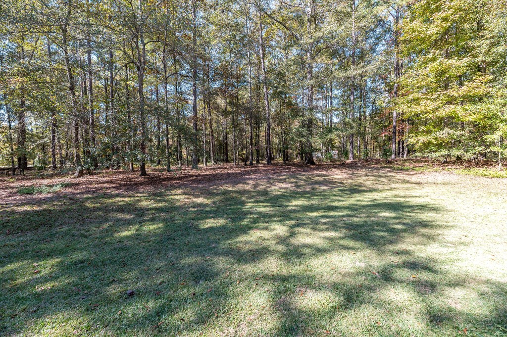 7628 Layfield Road, Unit 3 Columbus, GA 31829 - Photo 53 of 64 Gallery Image 53