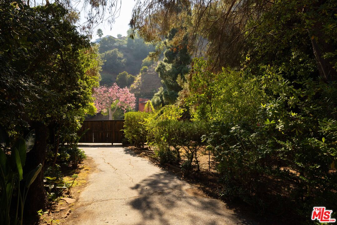1748 Laurel Canyon Boulevard Los Angeles, CA 90046 - Photo 24 of 24 a view of a pathway both side of yard