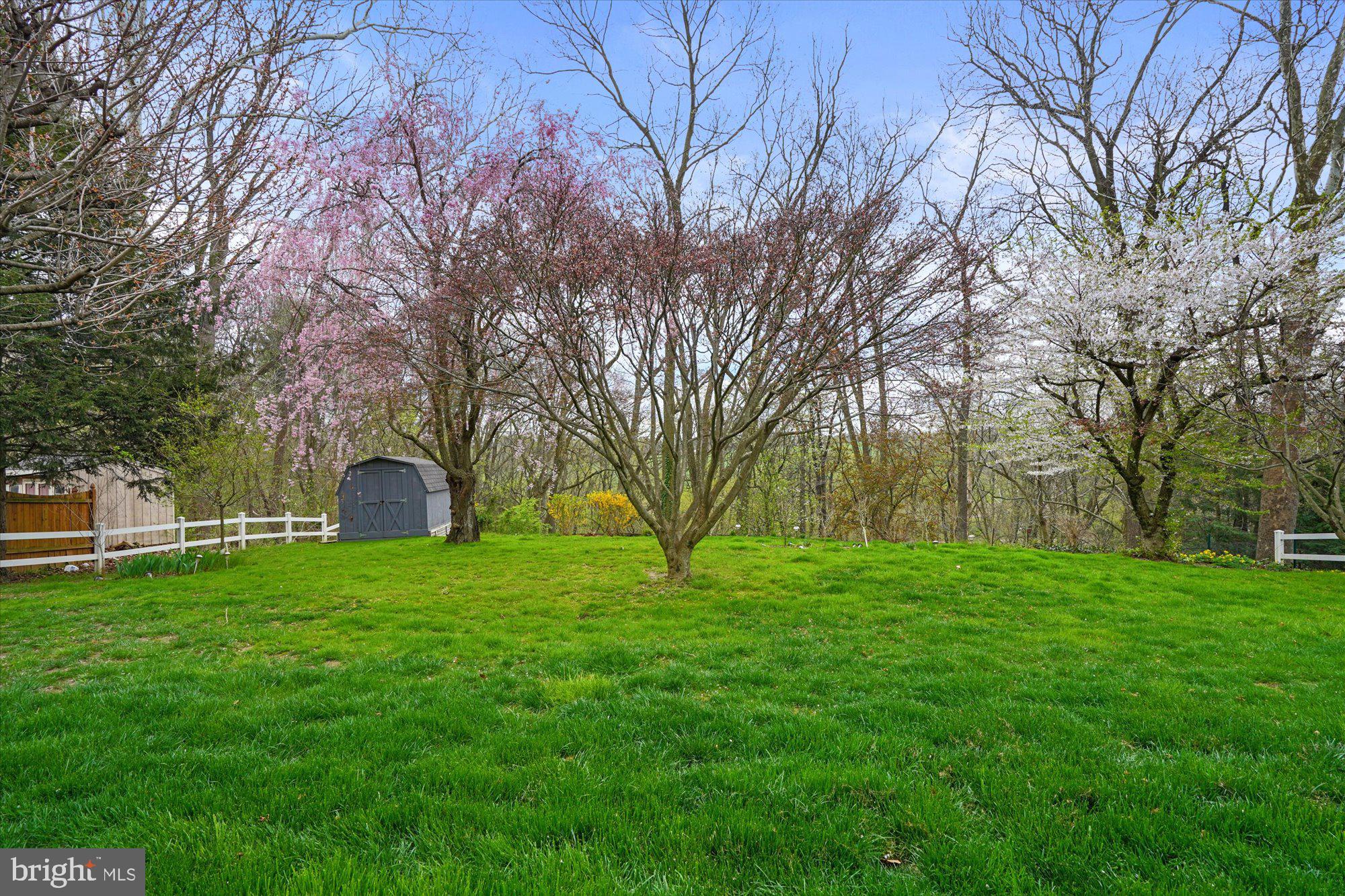 1790 Wilderness Road Lancaster, PA 17603 - Photo 21 of 24 Back yard