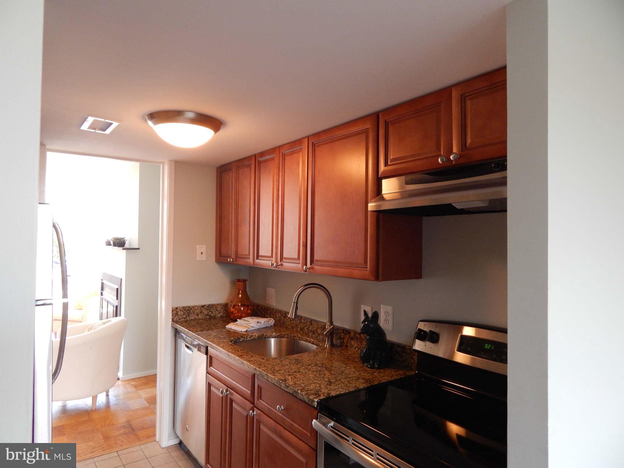 1622 Chimney House Road, Unit 1622 Reston, VA 20190 - Photo 2 of 18 Kitchen