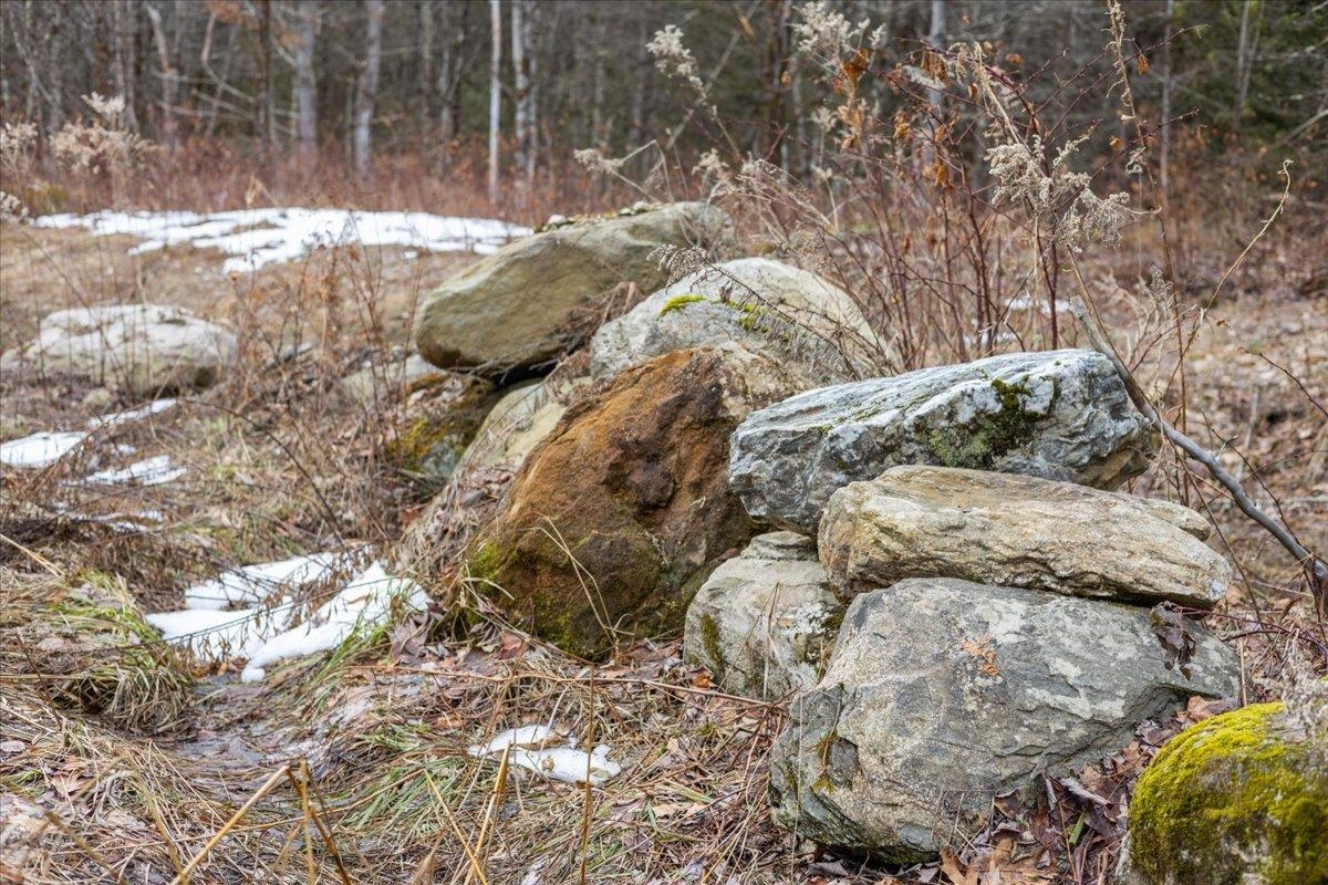 337 Chapin Road Essex Junction, VT 05452 - Photo 7 of 28