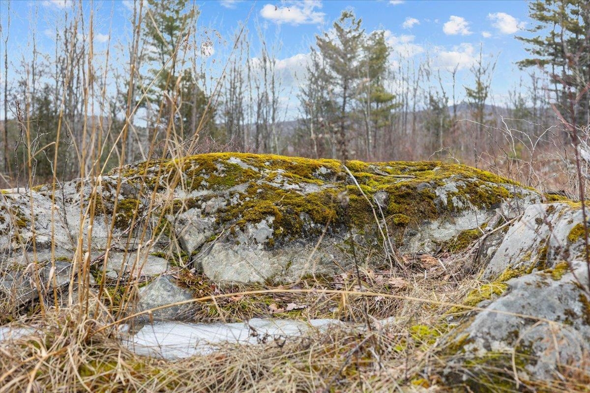 337 Chapin Road Essex Junction, VT 05452 - Photo 9 of 28