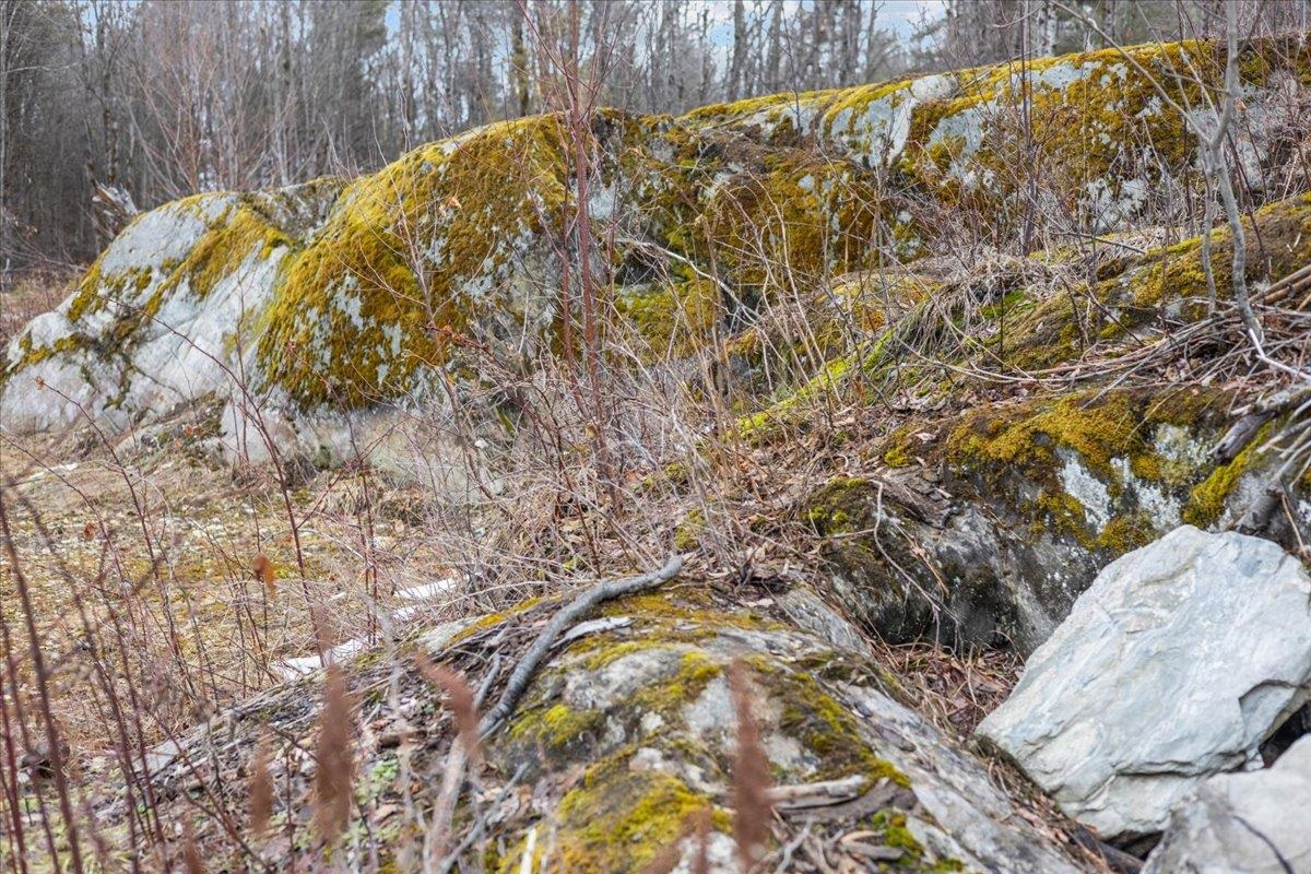 337 Chapin Road Essex Junction, VT 05452 - Photo 10 of 28