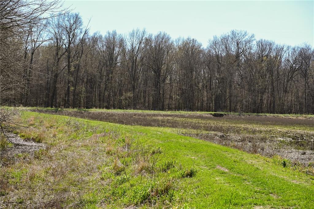 105 Southeast 40th Road Lamar, MO 64759 - Photo 32 of 62