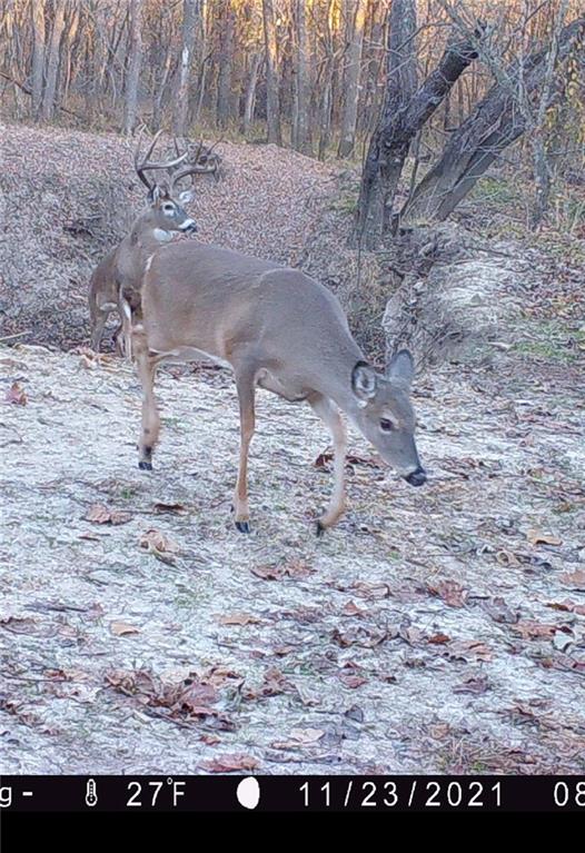 105 Southeast 40th Road Lamar, MO 64759 - Photo 35 of 62