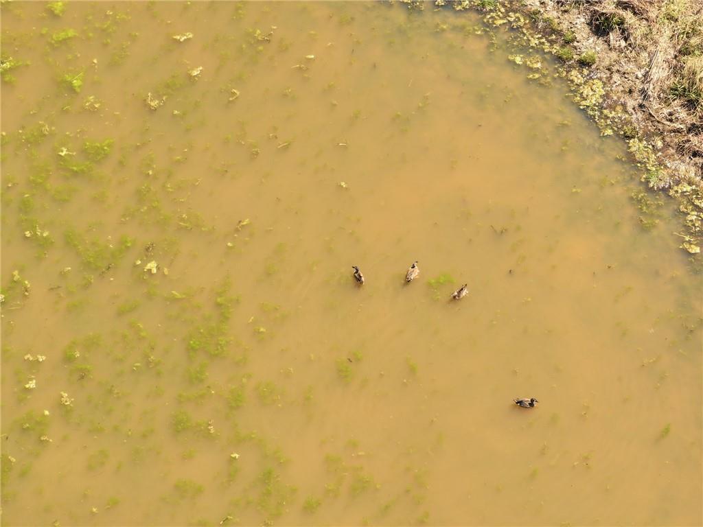 105 Southeast 40th Road Lamar, MO 64759 - Photo 43 of 62