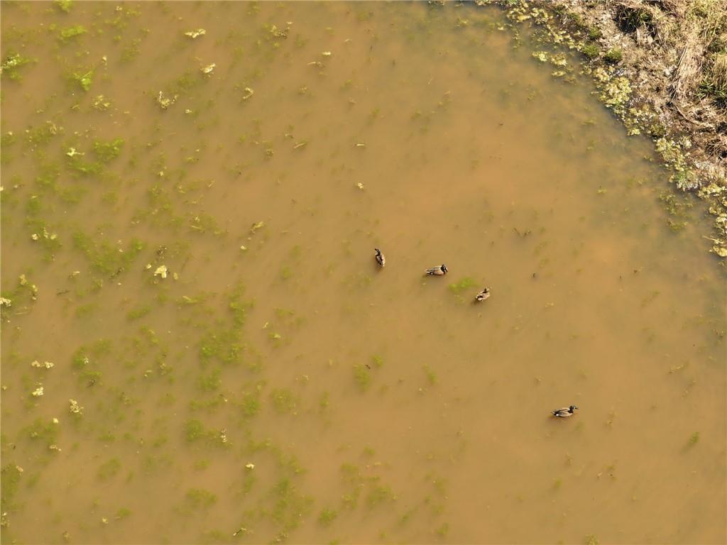 105 Southeast 40th Road Lamar, MO 64759 - Photo 44 of 62