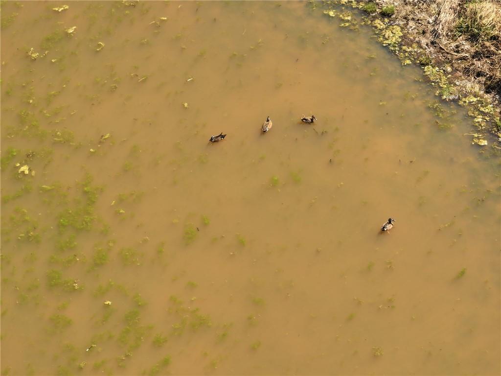 105 Southeast 40th Road Lamar, MO 64759 - Photo 45 of 62