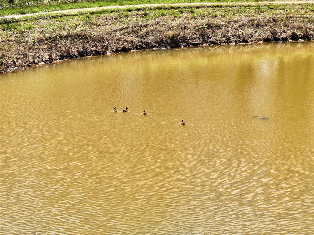 105 Southeast 40th Road Lamar, MO 64759 - Photo 55 of 62