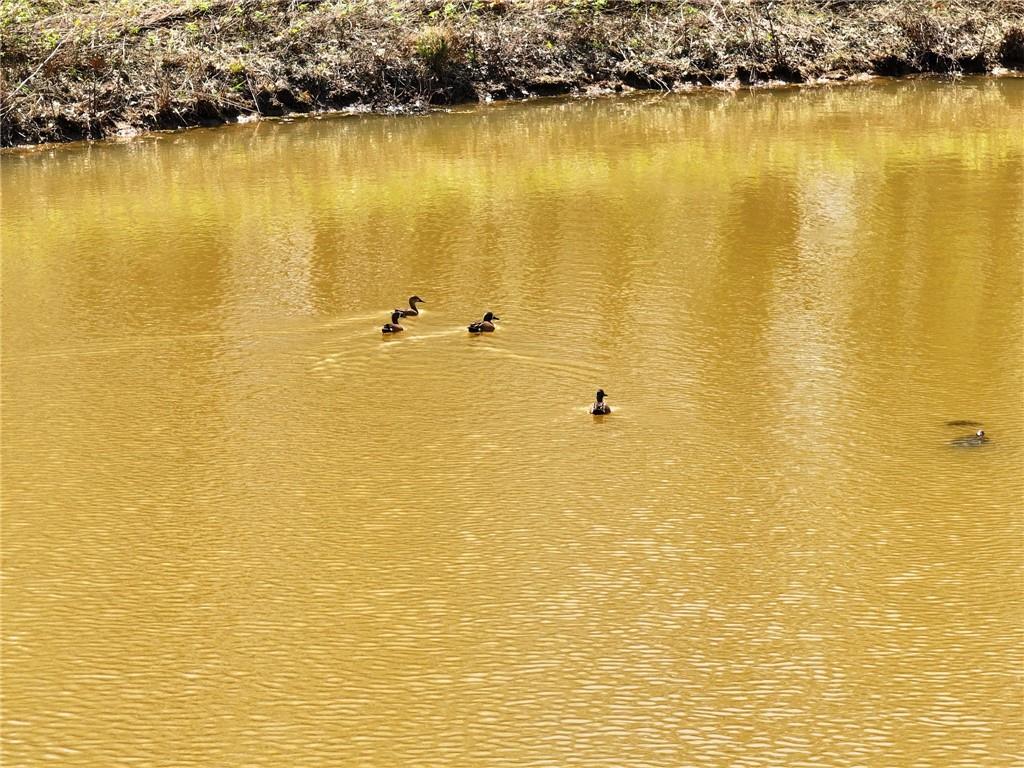 105 Southeast 40th Road Lamar, MO 64759 - Photo 56 of 62
